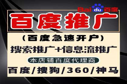 SEM托管公司成功案例：助力企业快速成长